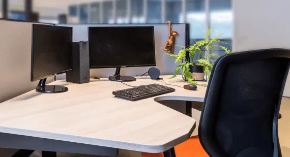 Bureau met twee schermen, toetsenbord en een plant op het kantoor van Miller Digital